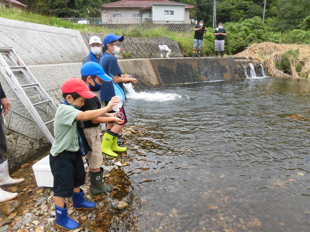 ホタルの幼虫の放流